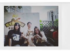 -柴犬高等学院·狗咖·柴犬售卖·宠物训练