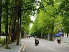 -日照海滨国家森林公园