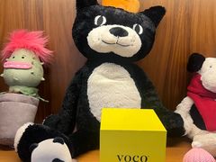 -南京东方珍珠voco酒店