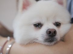 -零几体验diy皮具工作室(振业城店)