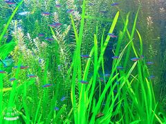 -上海海洋水族馆