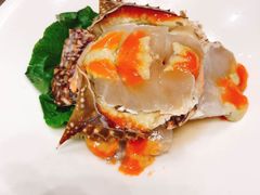 -高佳庄·舟山海鲜(海景旗舰店)