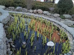 -活水公园