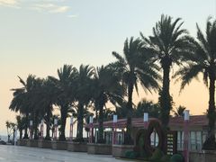 -玫瑰海岸文化旅游度假区