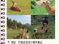 -人民解放纪念碑