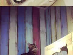 -小时光咖啡馆(开森度假森林店)