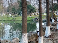 -玄武湖景区-情侣园游乐场