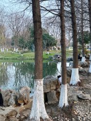 -玄武湖景区-情侣园游乐场