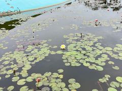 -南通洲际绿博园