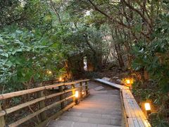 -南紀白浜 浜千鳥の湯 海舟