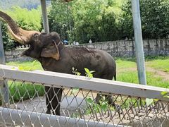 -西安秦岭野生动物园