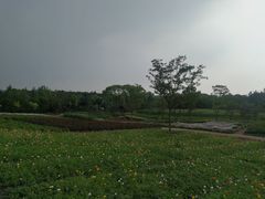 -同里国家湿地公园