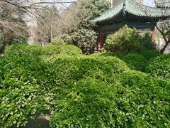 -万寿八仙宫