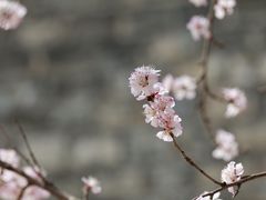 -北京明城墙遗址公园