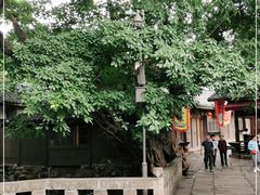 -土城古镇