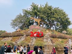 -自贡恐龙博物馆