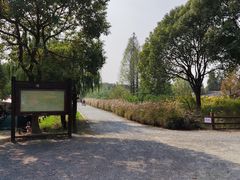 -田园东方蜜桃村的田野营地