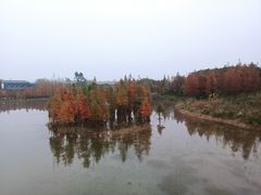 -三圣花乡旅游区