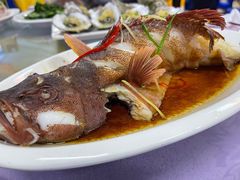 清蒸红东星斑-板桥海鲜广场(文明东店)