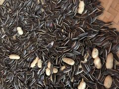 -昆虫窝子·特色云南菜(拓东路总店)