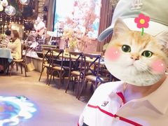 -胡桃里音乐酒馆(四道口店)