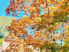 -香山公园-东宫门售票处