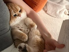 -艾贝尔宠物医院 ·内科全科(梁溪路店)