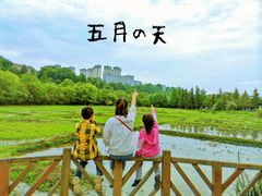 -贵阳市花溪国家城市湿地公园