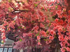 -那家老院子东北菜·饺子·小鸡炖蘑菇(艳华街店)