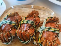 -丫丫蟹庄·苏式园林农家乐·阳澄湖大闸蟹(阳澄湖莲花岛店)