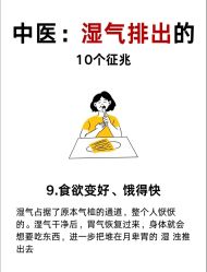-Fundi张玉珊修身堂·indiba·BTL科技瘦身
