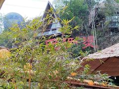 -伴山茶苑·围炉煮茶