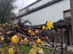 -江宁织造博物馆