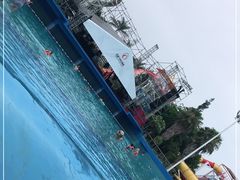 -巨鹏飞梦幻海岸