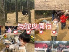 -杭州野生动物世界