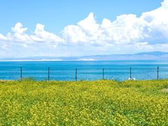 -青海湖国家重点风景名胜区
