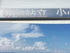-海豚湾扬帆出海帆船游艇