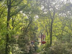 -WeLope紫金山探险公园