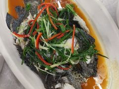 老虎斑-众味海鲜大排档·活海鲜·潮汕味(南澳店)