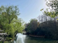 -自然谷恐龙园