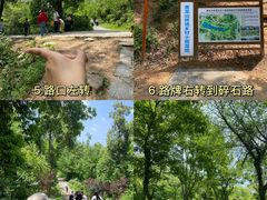 -青龙山国家森林公园