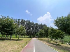 -马家湾湿地公园