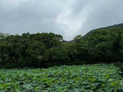-兰亭风景区