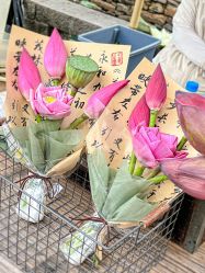 -初见汉服体验馆(拙政园店)