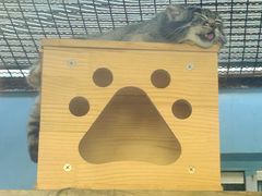 -青藏高原野生动物园