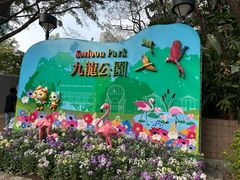 -九龙公园