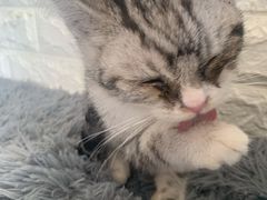 -平行世界·猫咖(首经贸店)