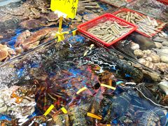 -船奇蒸汽海鲜·闽菜(八市海鲜总店)