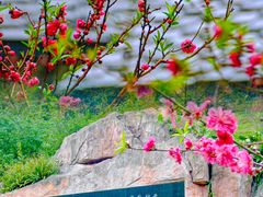 -桃花涧