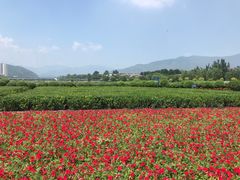 -门城湖公园